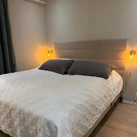 Rakkamaja Modern Forest-view 公寓 罗瓦涅米